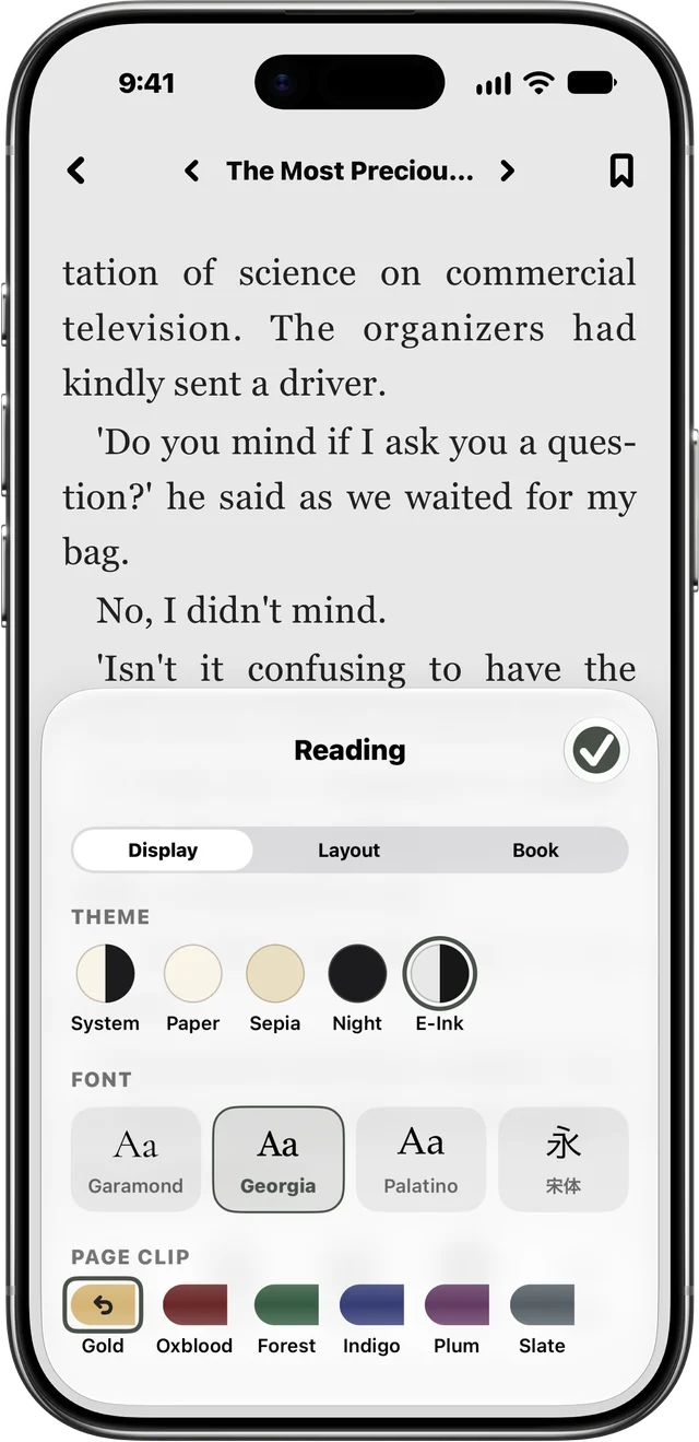Casu's Display settings: themes including E-Ink, fonts, and page clip colors